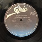 Wild Cherry ‎– Only The Wild Survive  LP Plak - Görsel 2
