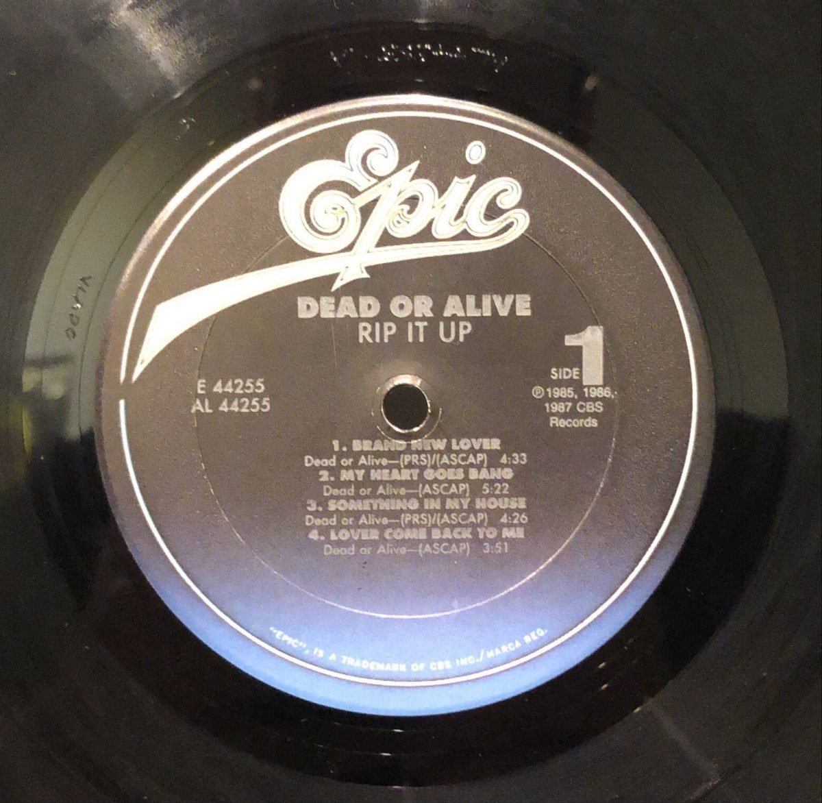 Dead Or Alive ‎– Rip It Up  LP Plak - Görsel 2