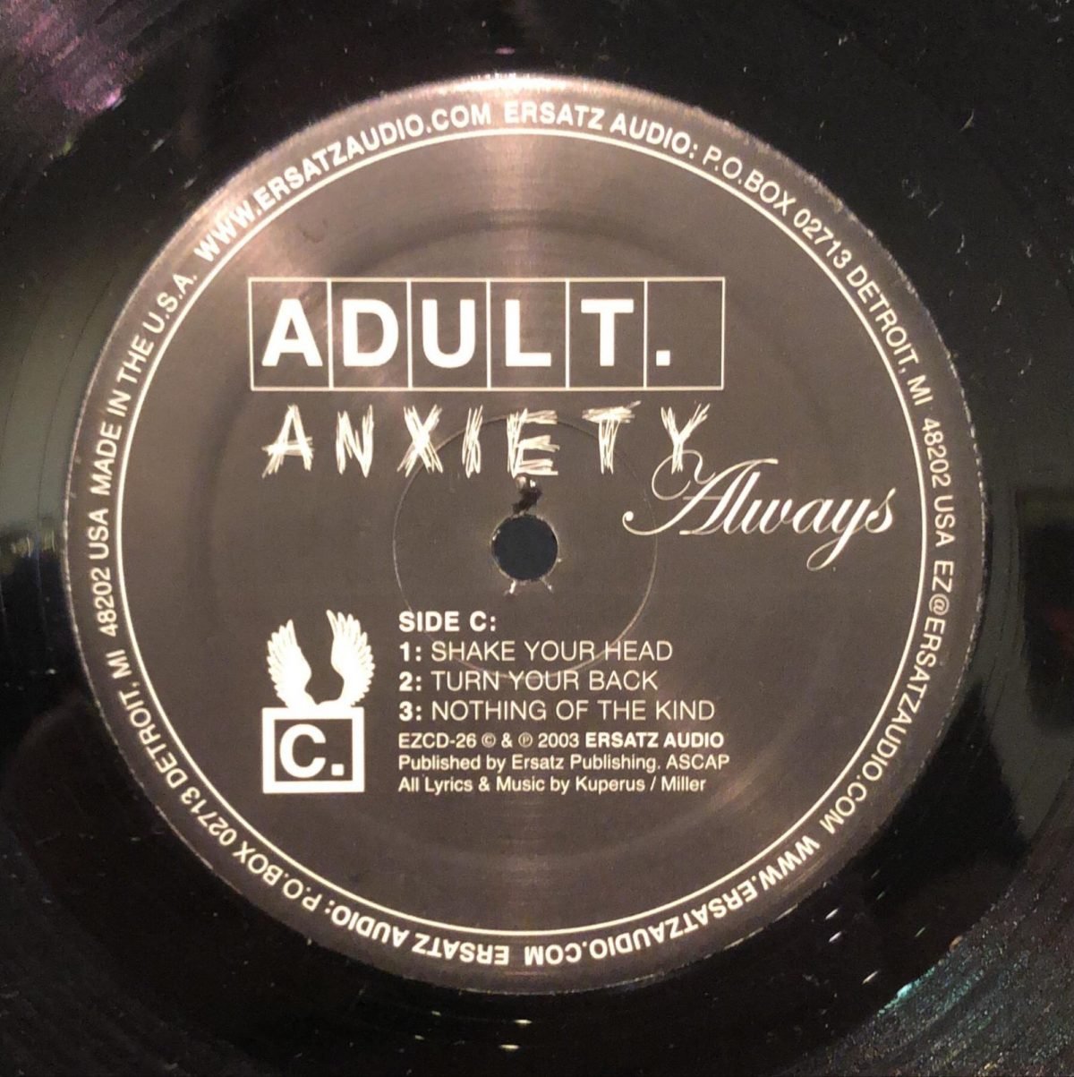 ADULT. ‎– Anxiety Always  2LP Plak - Görsel 3