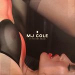 MJ Cole ‎– Cut To The Chase - 2LP  Plak