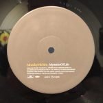 Monday Michiru ‎– Chasing After The Sun- Maxi Single Plak - Görsel 2