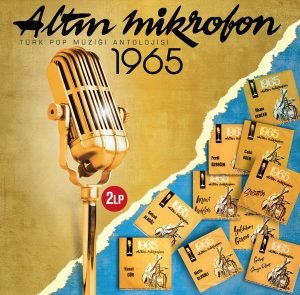 Altın Mikrofon 1965 2xLP Plak