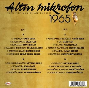 Altın Mikrofon 1965 2xLP Plak - Görsel 2