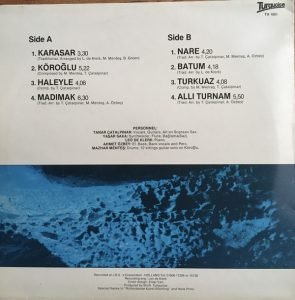 Turquoise ‎– Turkuaz LP Plak - Görsel 2
