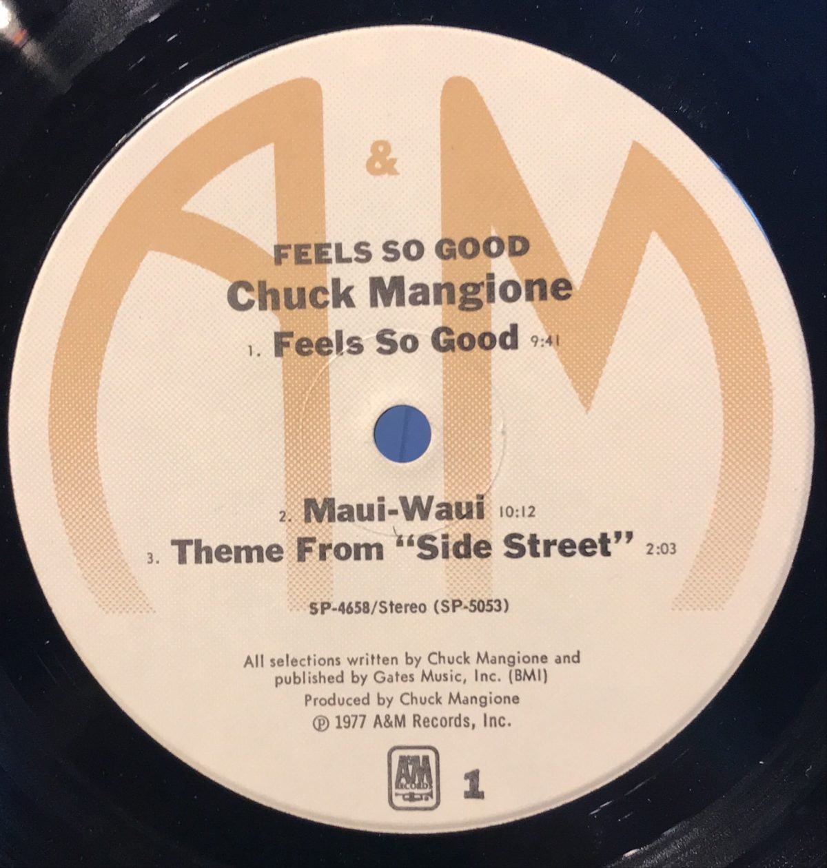 Chuck Mangione ‎– Feels So Good LP Plak - Görsel 3