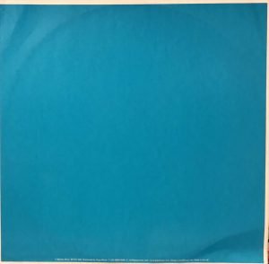 Bambu – The Real Thing 12” Maxi Single Plak - Görsel 2