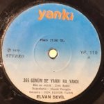 Elvan Sevil ‎– 365 Günümde Yandı Ha Yandı / İki Dağın Arasında Kalmışam 45lik Plak