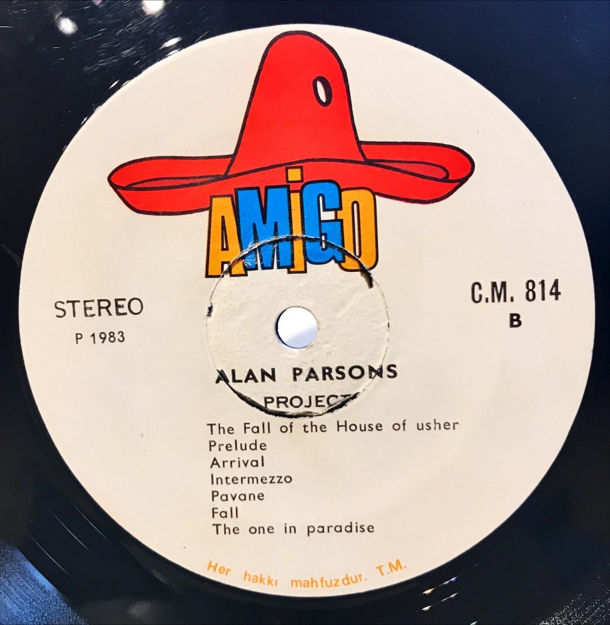 The Alan Parsons Project ‎– Tales Of Mystery And Imagination LP Plak - Görsel 3