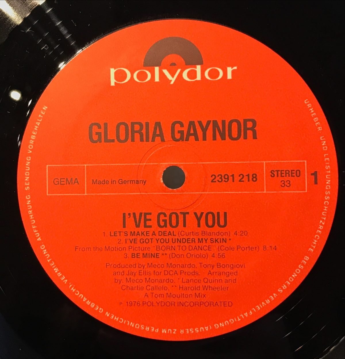 Gloria Gaynor ‎– I've Got You LP Plak - Görsel 3