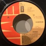Humdrum – 79 45lik Plak - Görsel 2