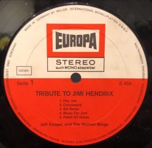 Jeff Cooper And The Stoned Wings ‎– Tribute To Jimi Hendrix LP Plak - Görsel 3