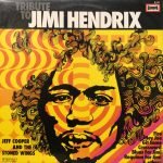 Jeff Cooper And The Stoned Wings ‎– Tribute To Jimi Hendrix LP Plak