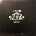The Joseph Consortium, Andrew Lloyd Webber, Tim Rice ‎– Joseph And The Amazing Technicolor Dreamcoat  LP Plak - Görsel 2