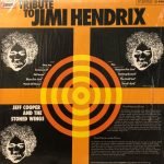 Jeff Cooper And The Stoned Wings ‎– Tribute To Jimi Hendrix LP Plak - Görsel 2