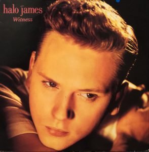 Halo James ‎– Witness LP Plak