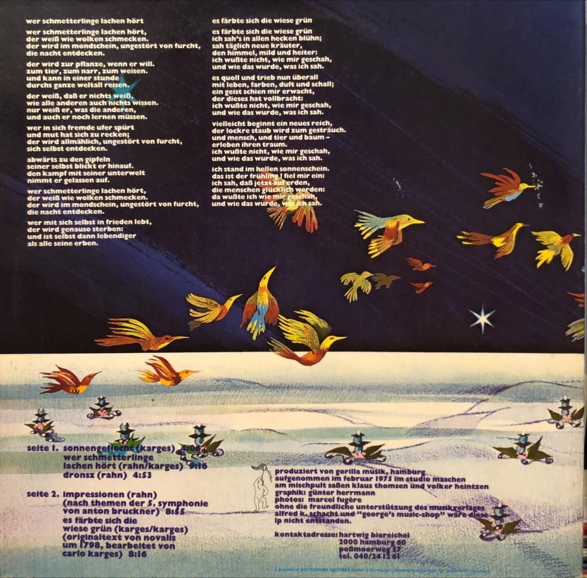 Novalis ‎– Novalis LP Plak - Görsel 2