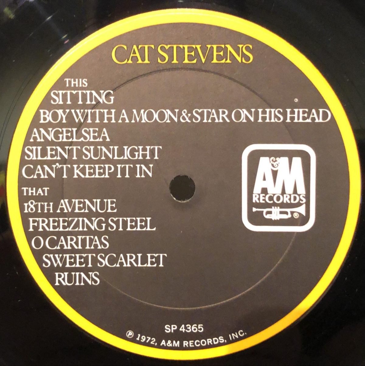 Cat Stevens ‎– Catch Bull At Four LP Plak - Görsel 3
