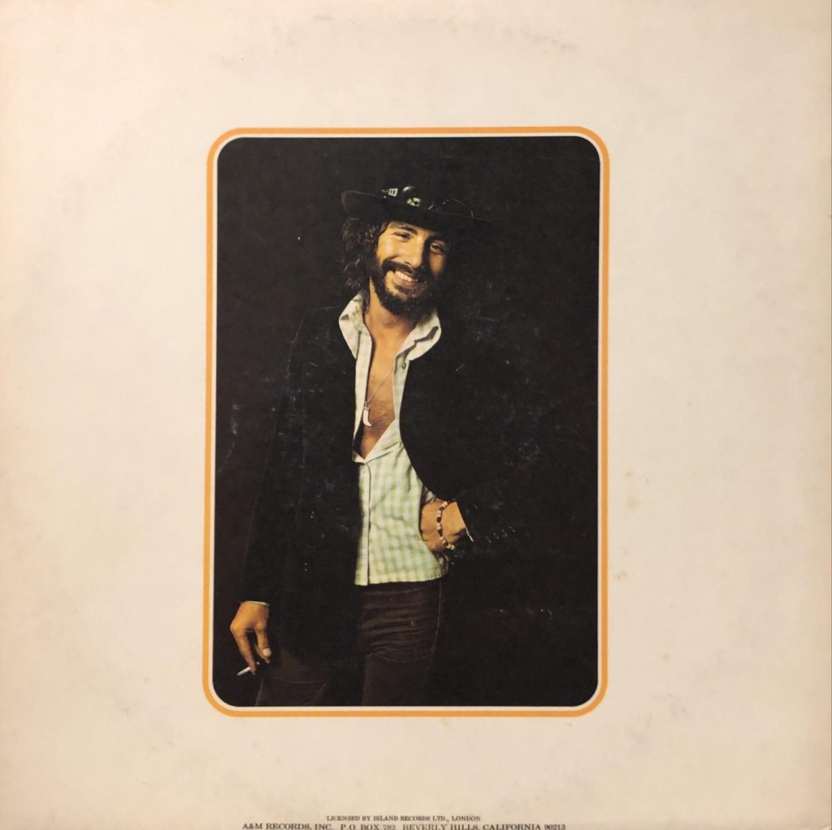 Cat Stevens ‎– Catch Bull At Four LP Plak - Görsel 2