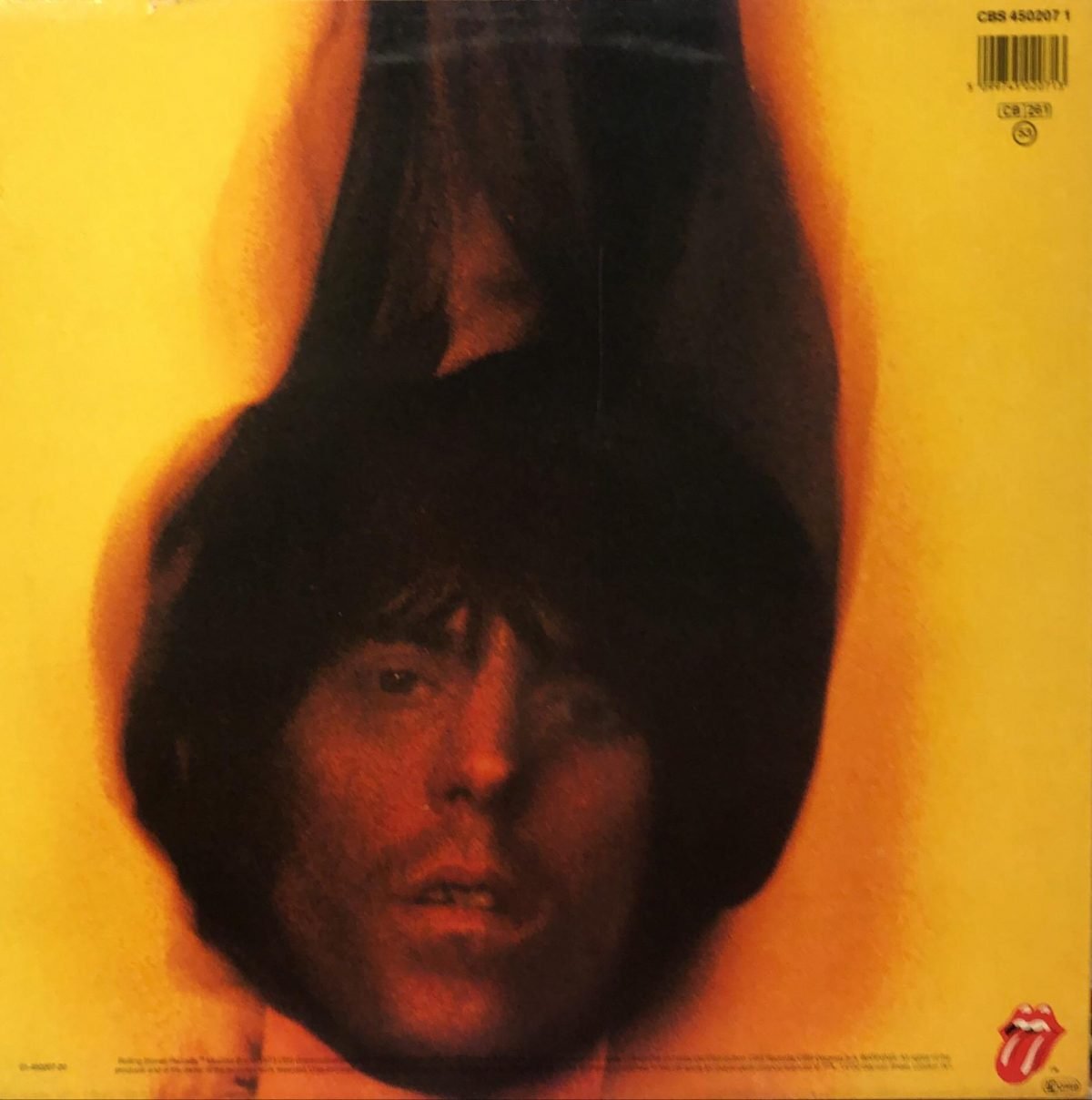 The Rolling Stones ‎– Goats Head Soup LP Plak - Görsel 3