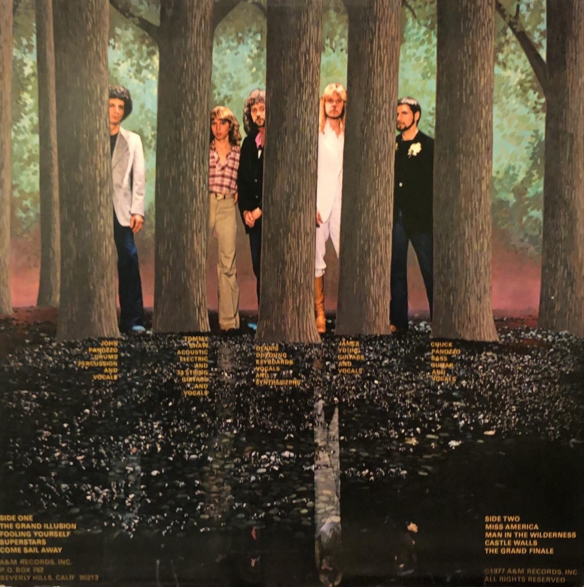 Styx ‎– The Grand Illusion LP Plak - Görsel 2