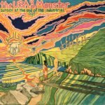 USAISAMONSTER - R.I.P. - LP Plak