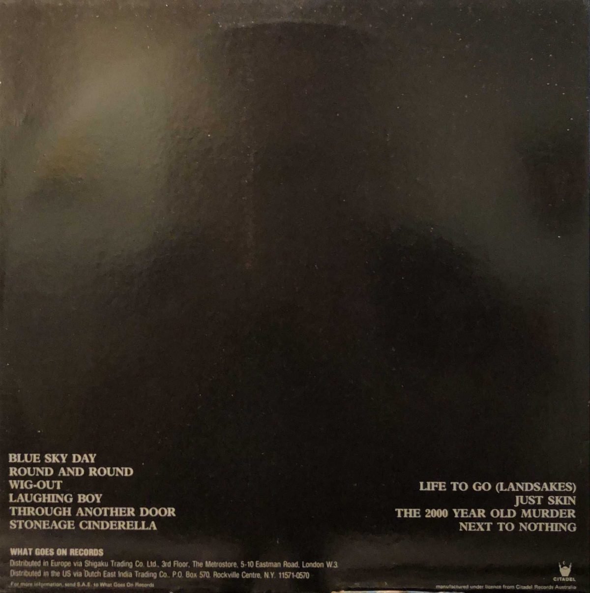 Died Pretty ‎– Free Dirt LP Plak - Görsel 3