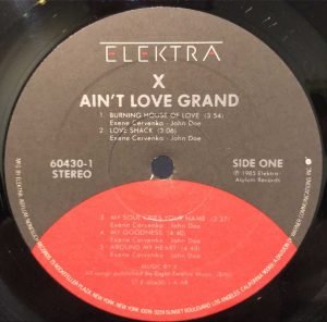 X – Ain't Love Grand LP Plak - Görsel 2