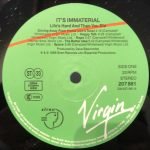 It's Immaterial ‎– Life's Hard And Then You Die LP Plak - Görsel 3