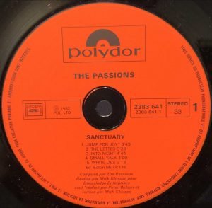 The Passions ‎– Sanctuary LP Plak - Görsel 2