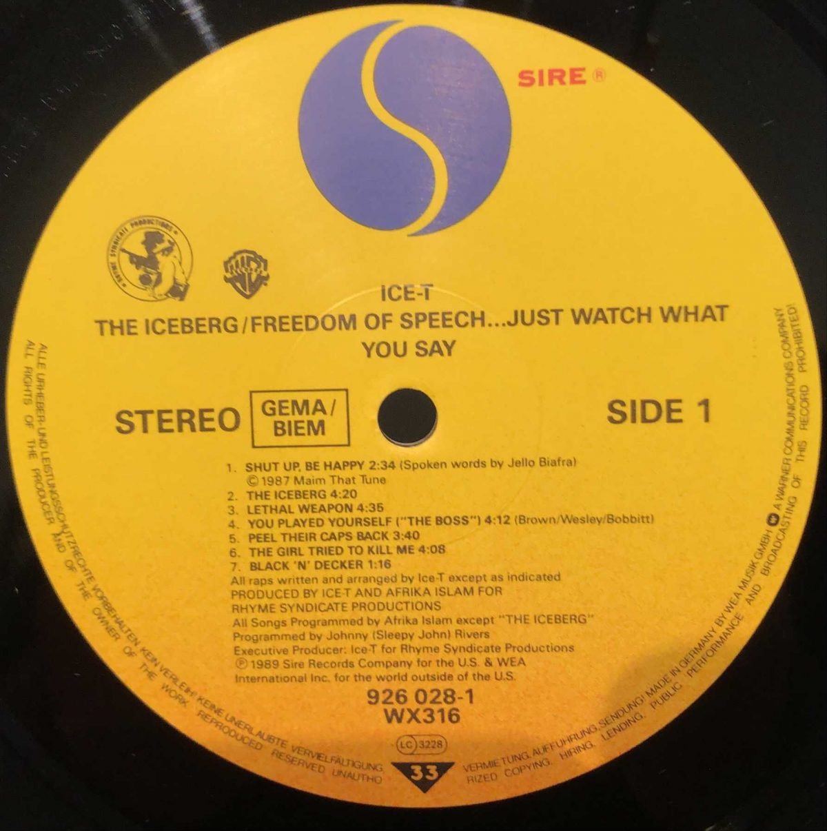 Ice-T ‎– The Iceberg (Freedom Of Speech... Just Watch What You Say) LP Plak - Görsel 2
