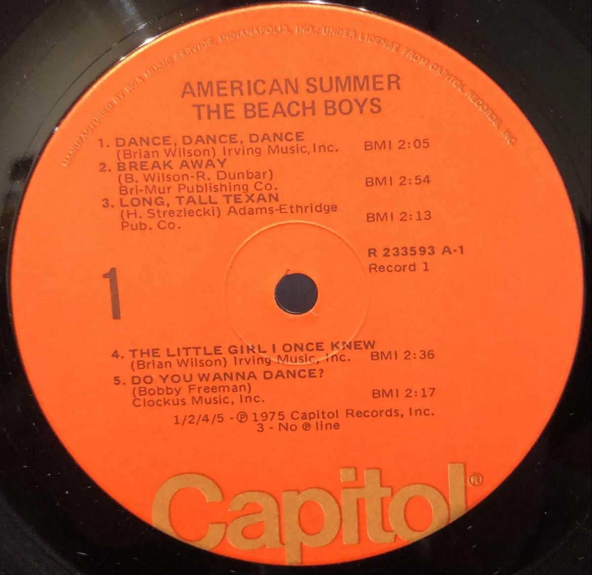 The Beach Boys ‎– American Summer 2LP Plak - Görsel 3