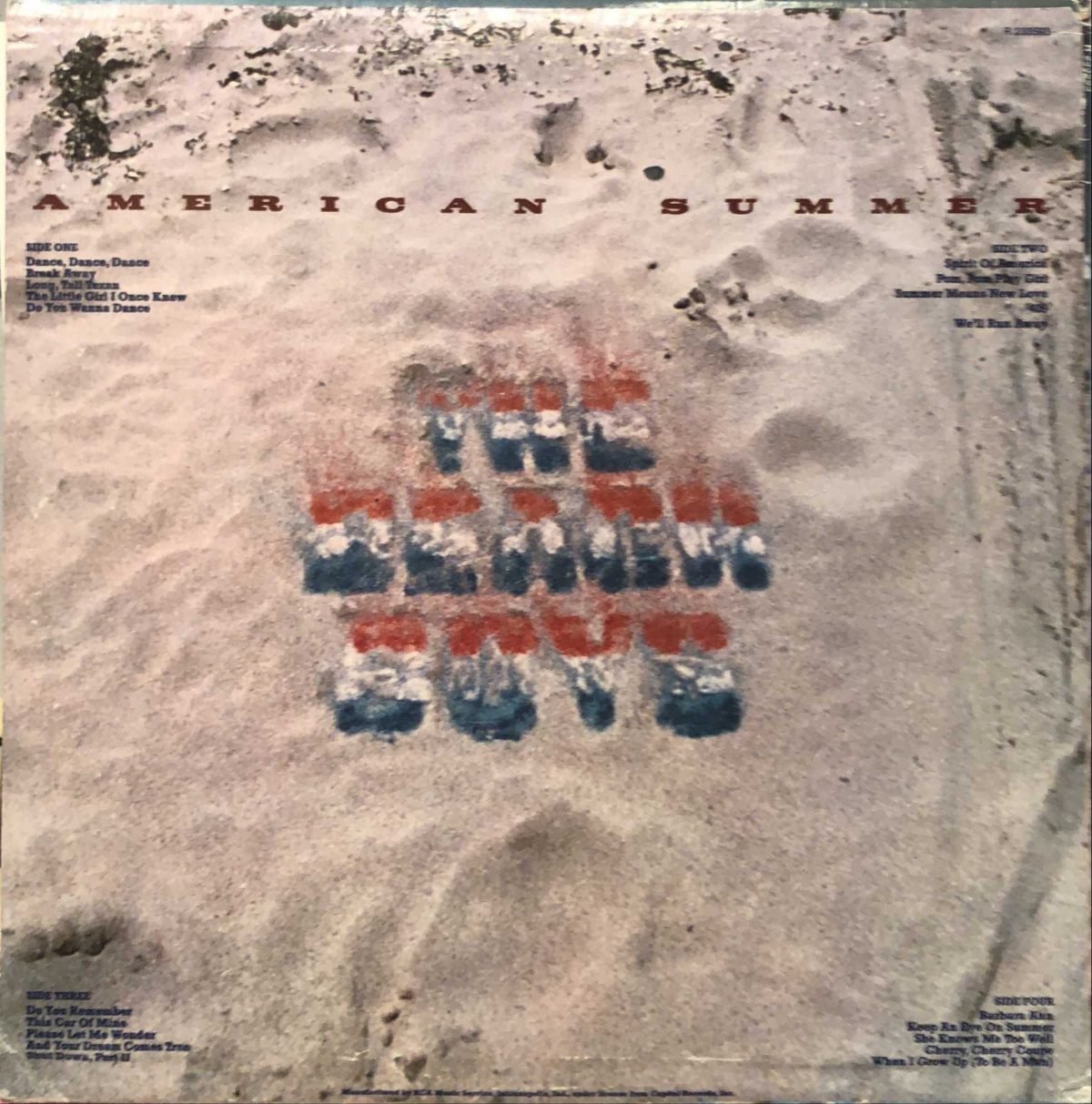 The Beach Boys ‎– American Summer 2LP Plak - Görsel 2
