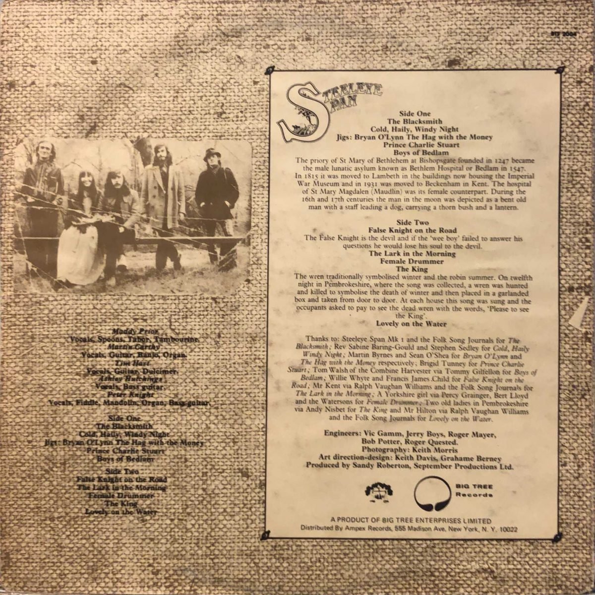 Steeleye Span ‎– Please To See The King LP Plak - Görsel 3