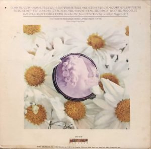 Dusty Springfield ‎– Cameo LP Plak - Görsel 3