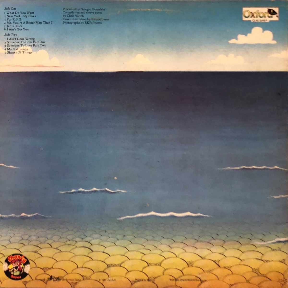 The Yardbirds ‎– Shapes Of Things - Volume 2° LP Plak - Görsel 3