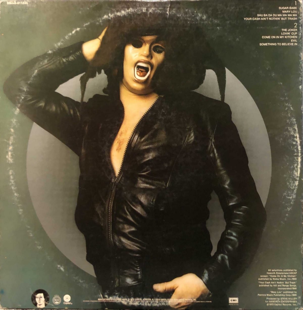 Steve Miller Band ‎– The Joker LP Plak - Görsel 2