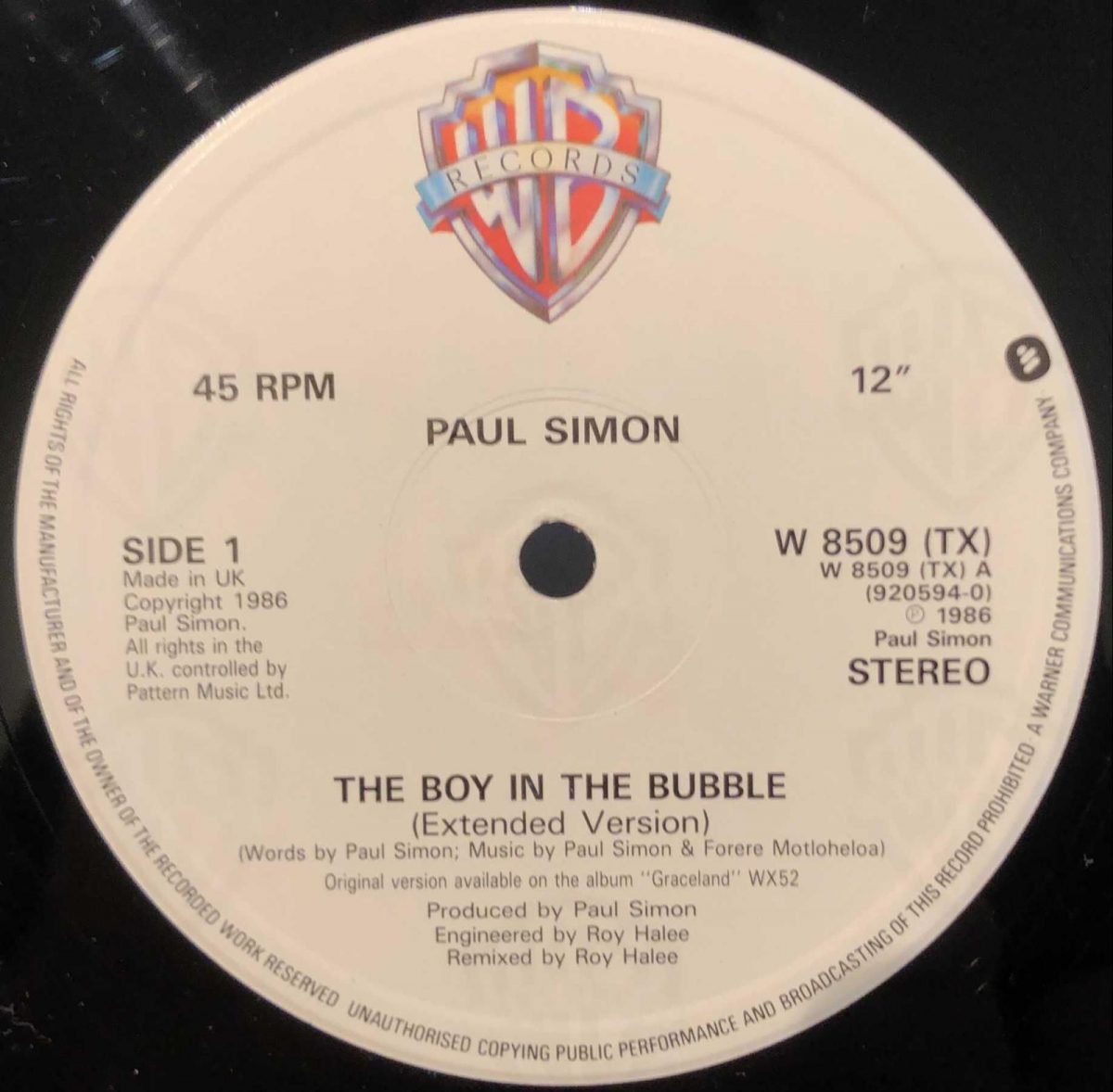 Paul Simon ‎– The Boy In The Bubble Maxi Single Plak - Görsel 3