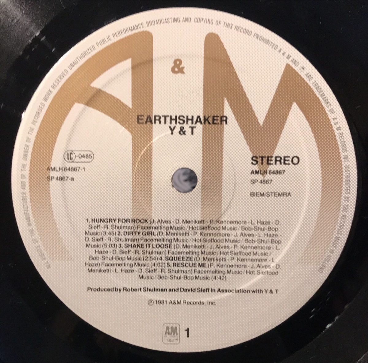 Y & T ‎– Earthshaker LP Plak - Görsel 2