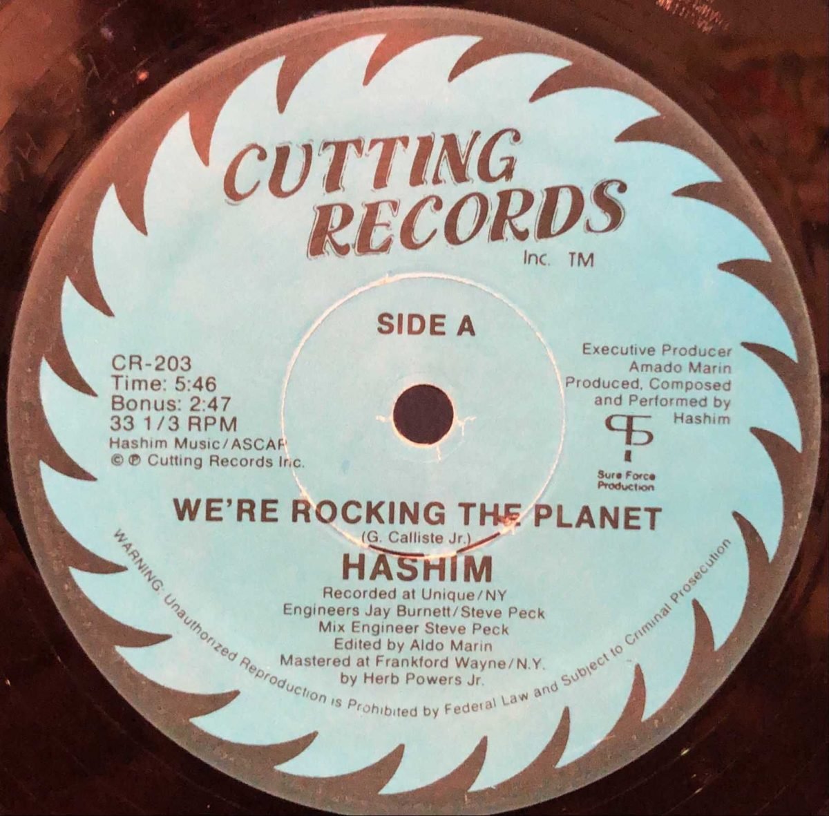 Hashim ‎– We're Rocking The Planet 12'' Maxi Single Plak - Görsel 2