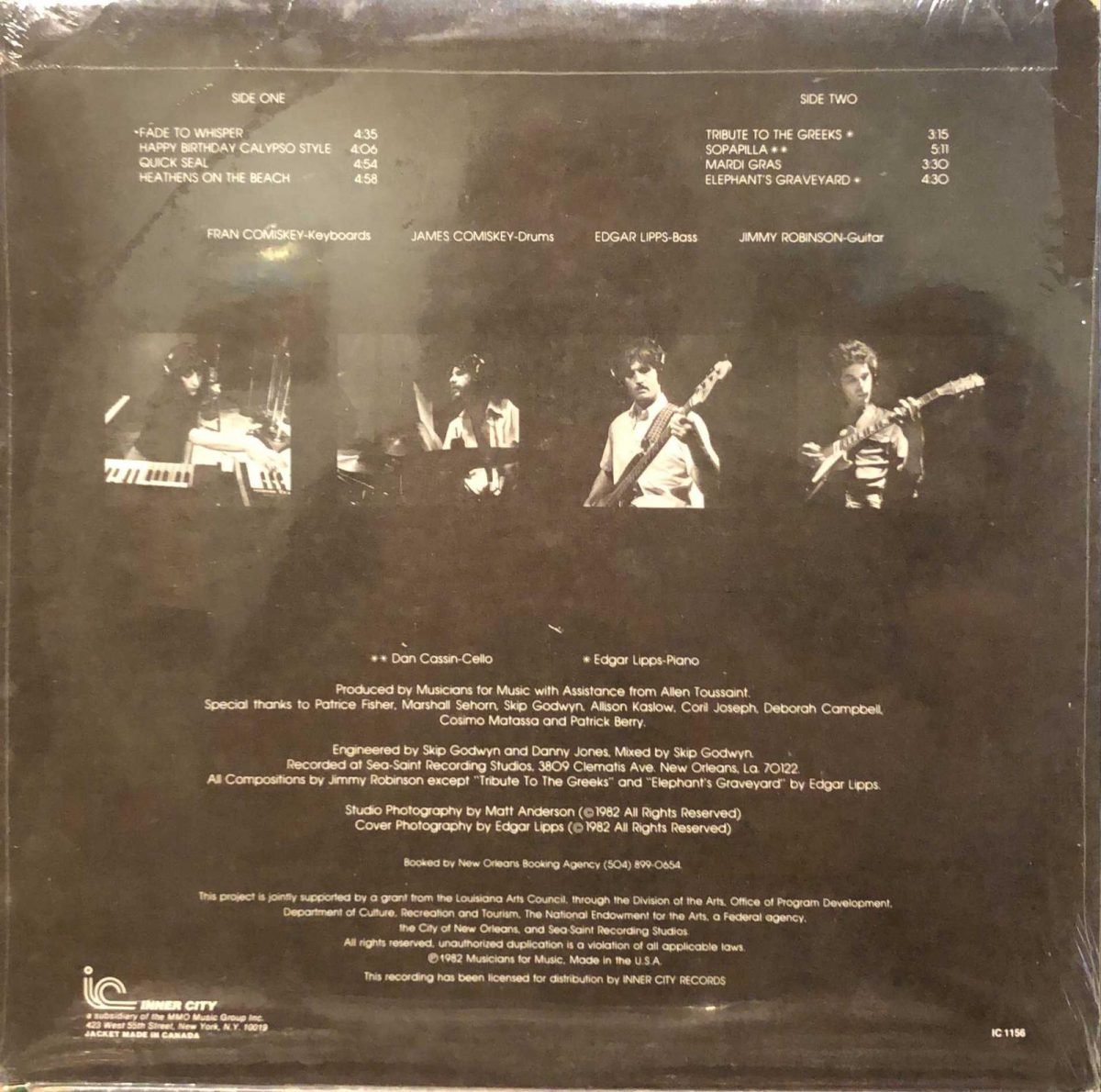 Woodenhead ‎– Woodenhead LP Plak - Görsel 2