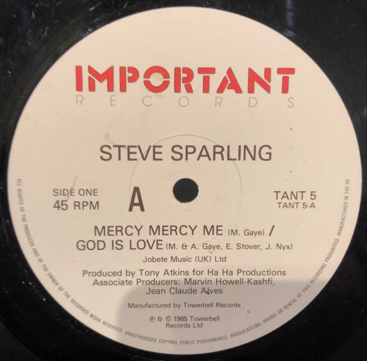 Steve Sparling ‎– Mercy Mercy Me/God Is Love  12'' Maxi Single Plak - Görsel 2
