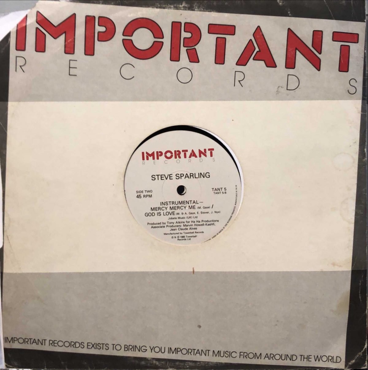 Steve Sparling ‎– Mercy Mercy Me/God Is Love  12'' Maxi Single Plak - Görsel 3