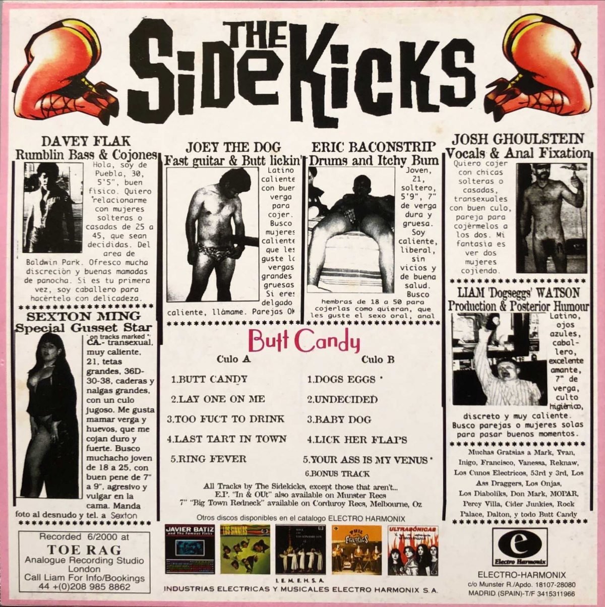 The Sidekicks ‎– Butt Candy  LP Plak - Görsel 3