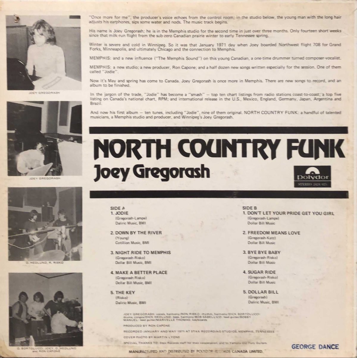 Joey Gregorash ‎– North Country Funk LP Plak - Görsel 2