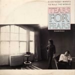 Tears For Fears ‎– Everybody Wants To Rule The World (Extended Version) Maxi Single Plak