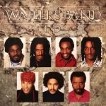 The Wailers Band ‎– I.D.  LP Plak