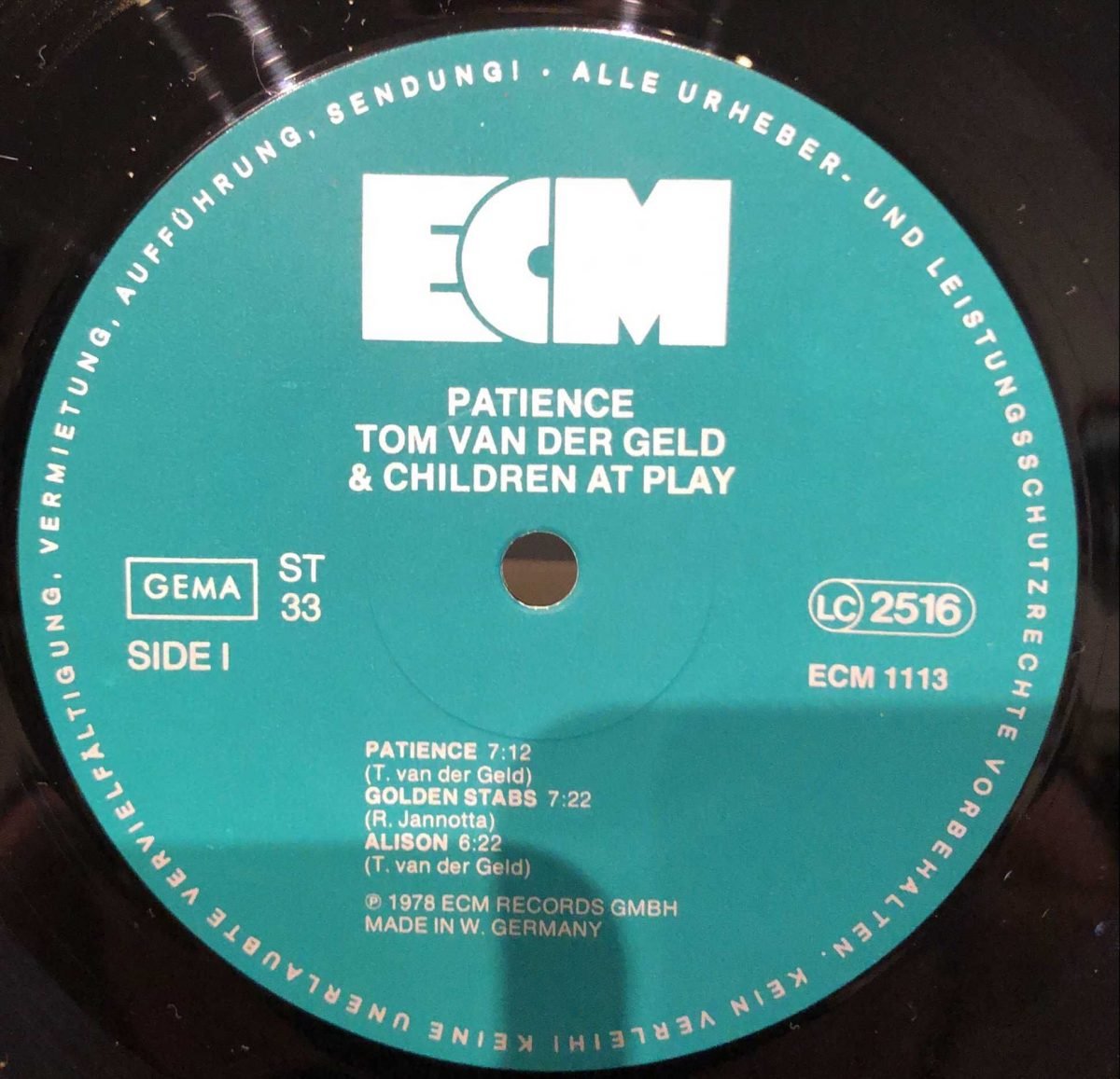 Tom Van Der Geld And Children At Play – Patience LP Plak - Görsel 2