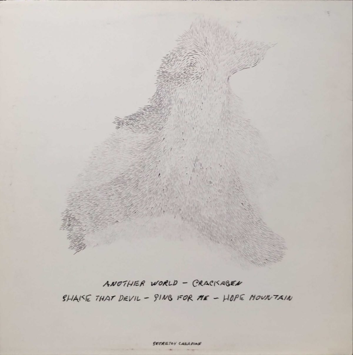 Antony And The Johnsons ‎– Another World EP Plak - Görsel 2