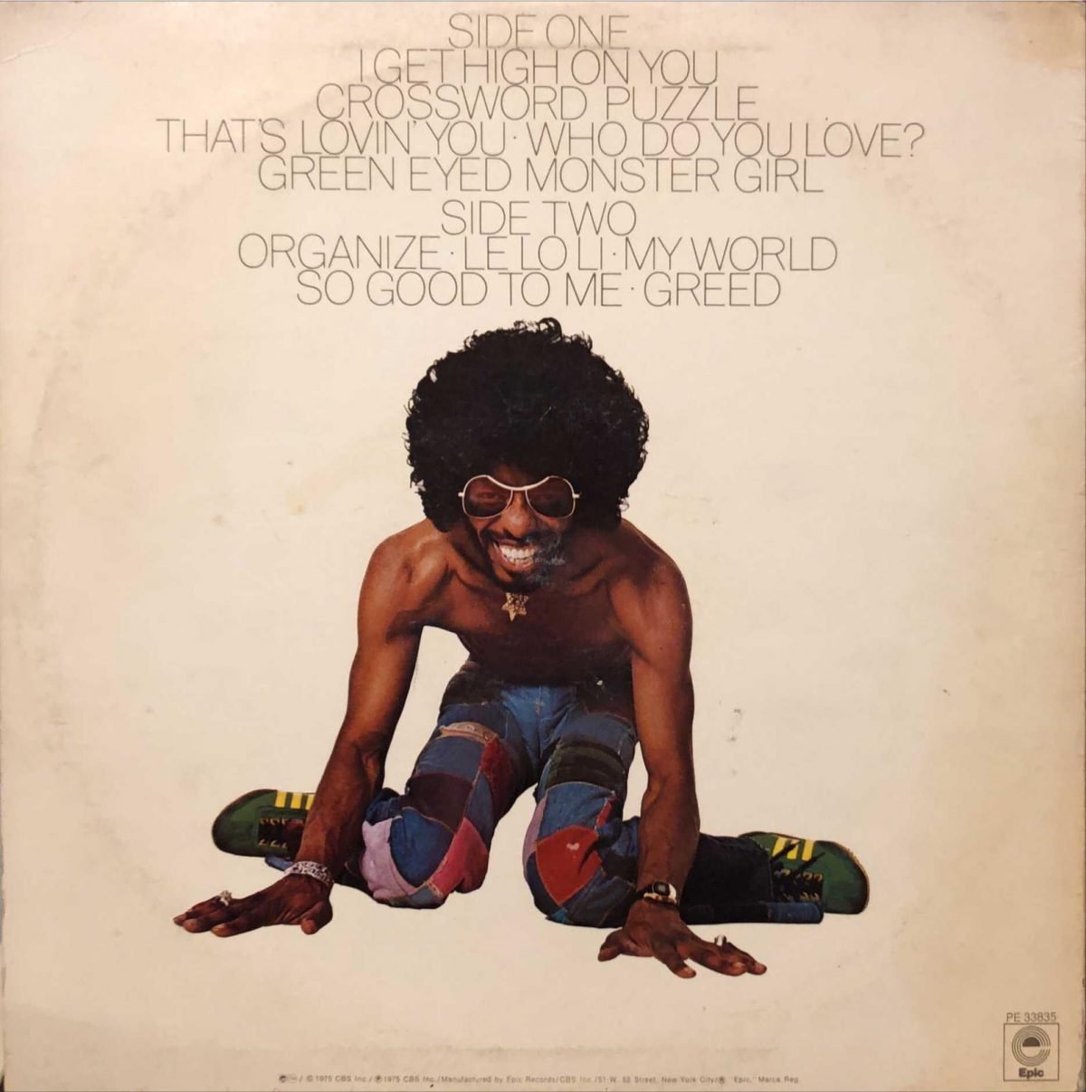 Sly Stone ‎– High On You LP Plak - Görsel 2