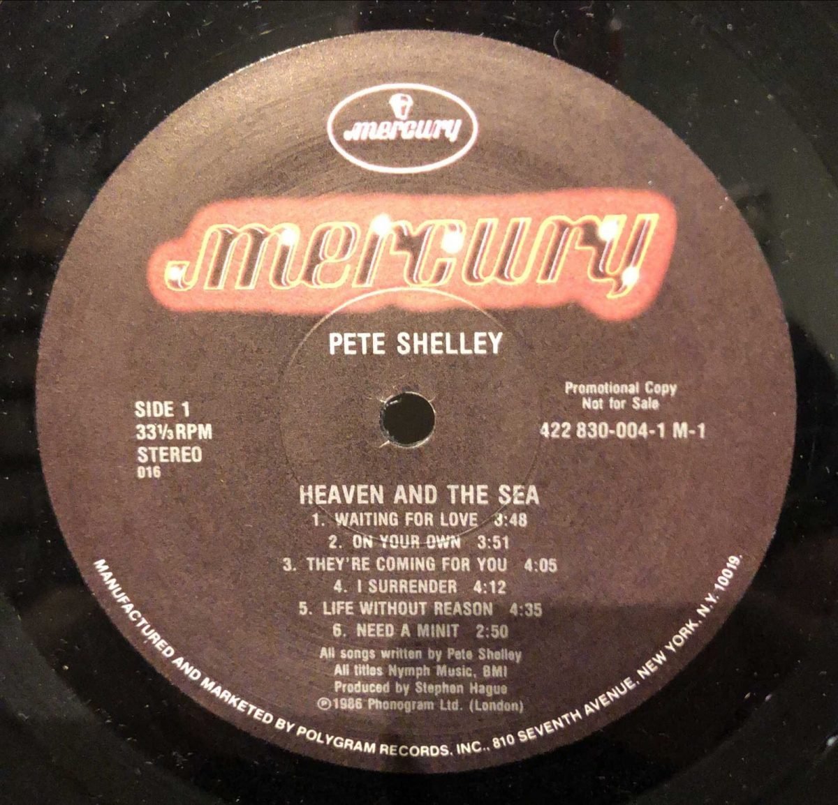 Pete Shelley ‎– Heaven And The Sea LP Plak - Görsel 2